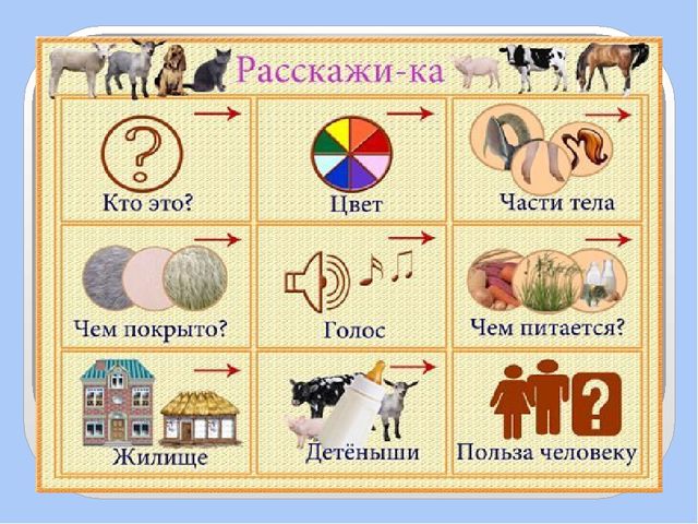 Презентация для дошкольников по развитию речи
