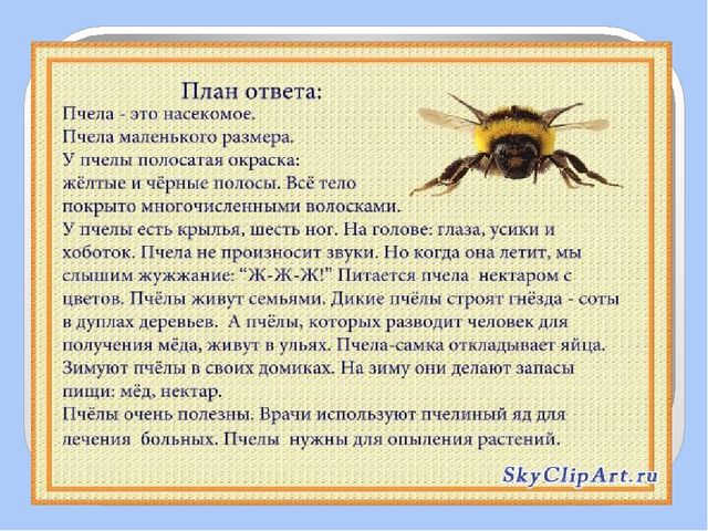 Презентация для дошкольников по развитию речи