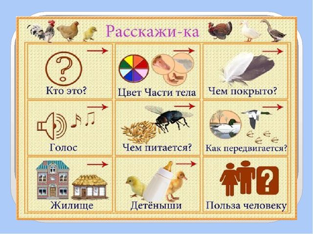 Презентация для дошкольников по развитию речи