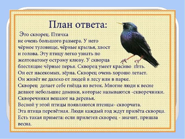 Презентация для дошкольников по развитию речи