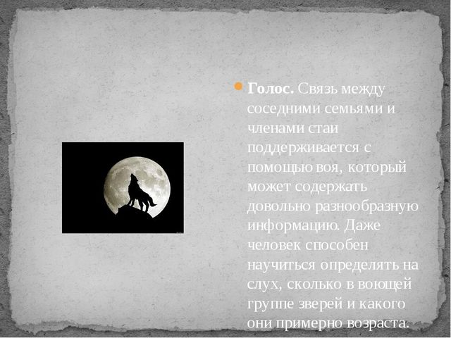 Презентация по экологии " Белый медведь "