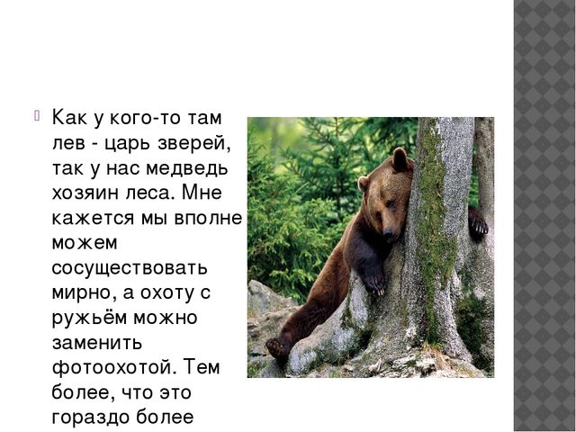 Презентация по экологии " Бурый медведь" (подготовительная группа)