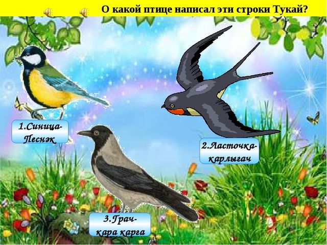 Мультимедийная дидактическая игра"Путешествие в страну Тукая"