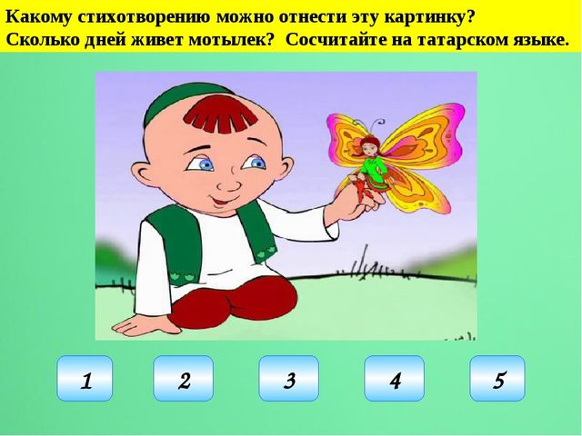 Мультимедийная дидактическая игра"Путешествие в страну Тукая"