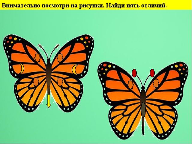 Мультимедийная дидактическая игра"Путешествие в страну Тукая"