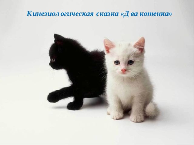 "Пальчики играют - речь нам развивают"