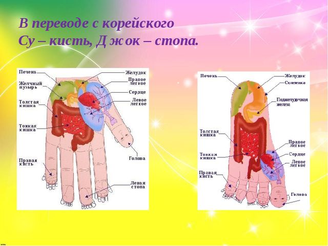 "Пальчики играют - речь нам развивают"