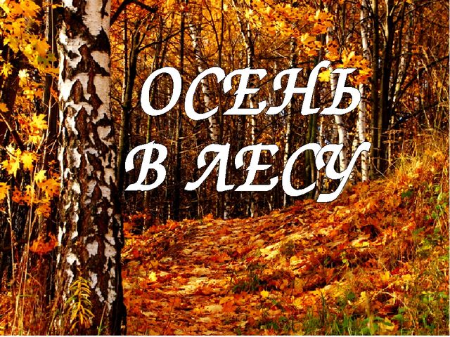 Презентация "Осень в лесу"