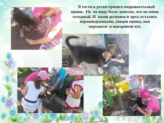 Презентация отчет ЛОП в старшей группе №6 МБДОУ №29 "Светлячок" «Лето – это маленькая жизнь!»