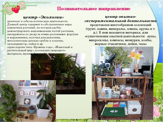 Презентация на тему "Предметно-развивающая среда группы дошкольного образовательного учреждения"