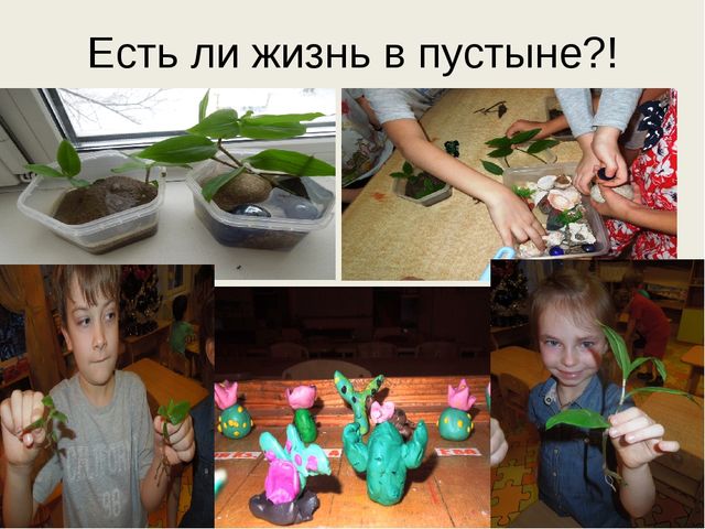 Детский тематический проект "Песочный калейдоскоп"