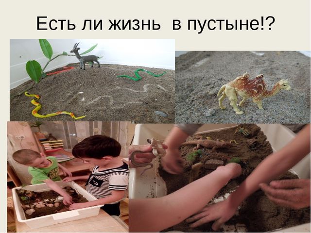 Детский тематический проект "Песочный калейдоскоп"