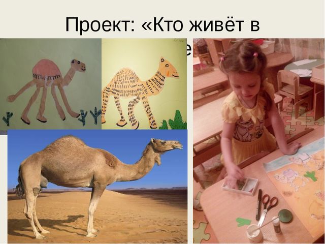 Детский тематический проект "Песочный калейдоскоп"