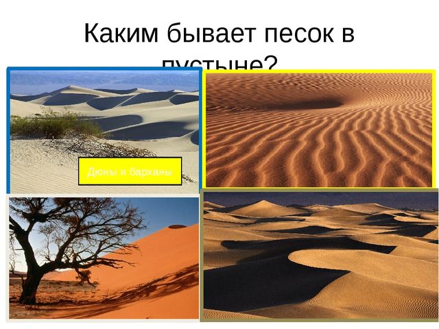 Песочная энциклопедия для ребят - дошколят