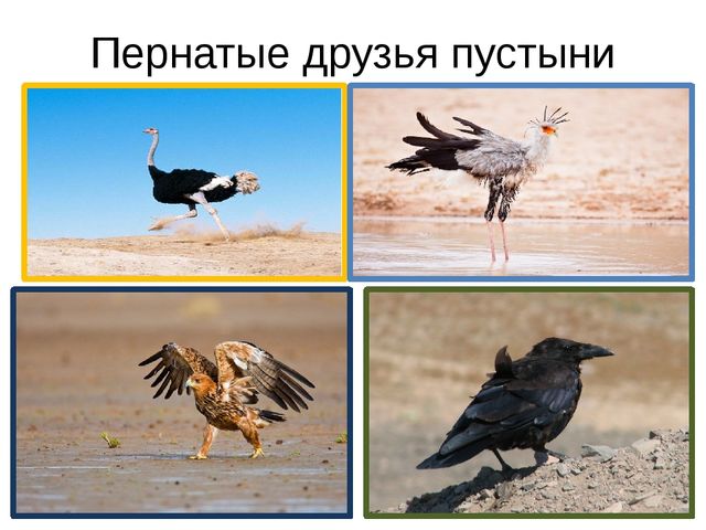 Песочная энциклопедия для ребят - дошколят