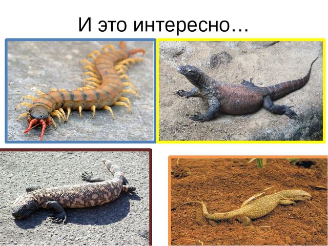 Песочная энциклопедия для ребят - дошколят