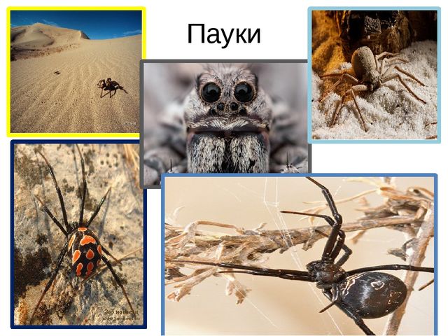 Песочная энциклопедия для ребят - дошколят