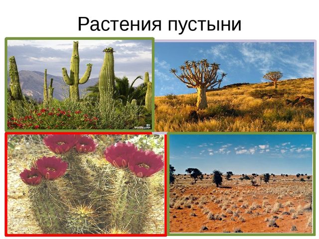 Песочная энциклопедия для ребят - дошколят