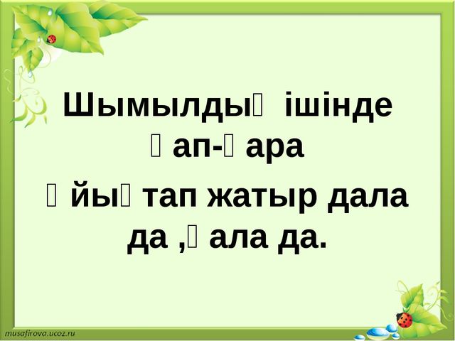 Презентация на тему "экологиялық марафон"