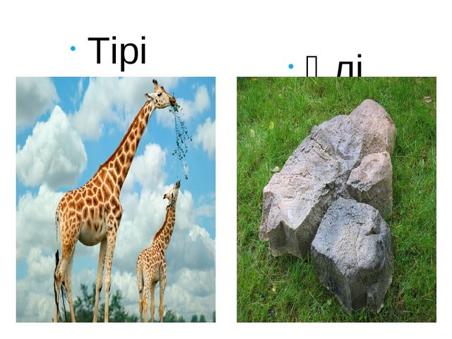 Презентация на тему "экологиялық марафон"
