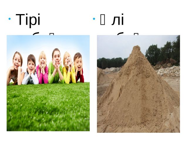 Презентация на тему "экологиялық марафон"