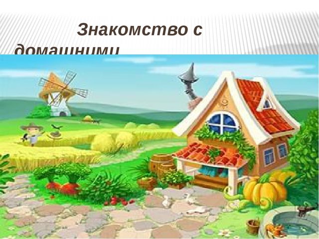 Презентация: Знакомство с домашними животными и их детенышами.