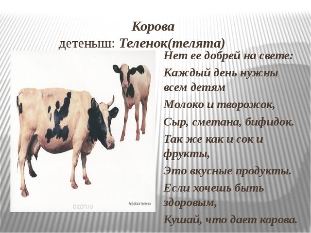 Презентация: Знакомство с домашними животными и их детенышами.