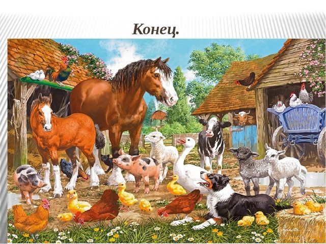 Презентация: Знакомство с домашними животными и их детенышами.