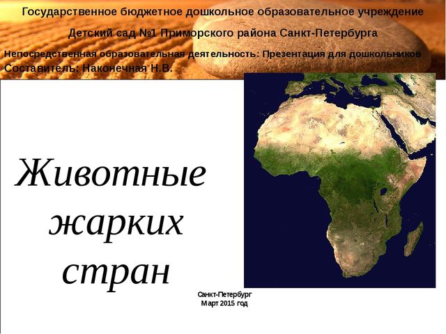 Презентация для детского сада на тему "Животные жарких стран"