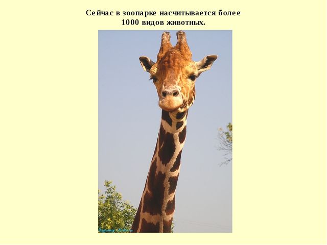 Презентация для детей дошкольного возраста на тему "Моя Москва"