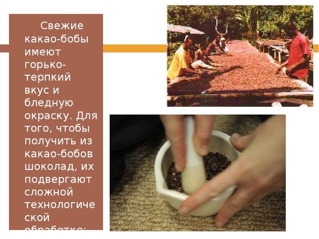 Презентация для детей дошкольного возраста на тему "Шоколад"