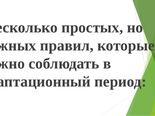 Презентация к род. собранию "Адаптация в детском саду."