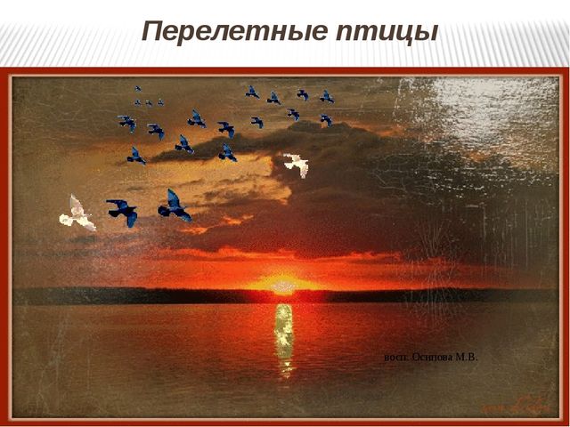 Презентация на тему: Перелетные птицы