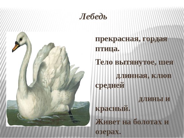 Презентация на тему: Перелетные птицы