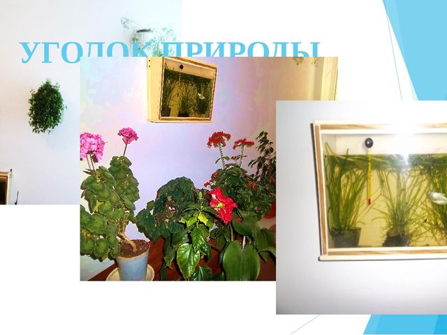 Презентация "Экологическое воспитание. Природа родного края" тема самообразования