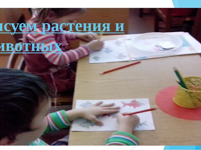 Презентация "Экологическое воспитание. Природа родного края" тема самообразования