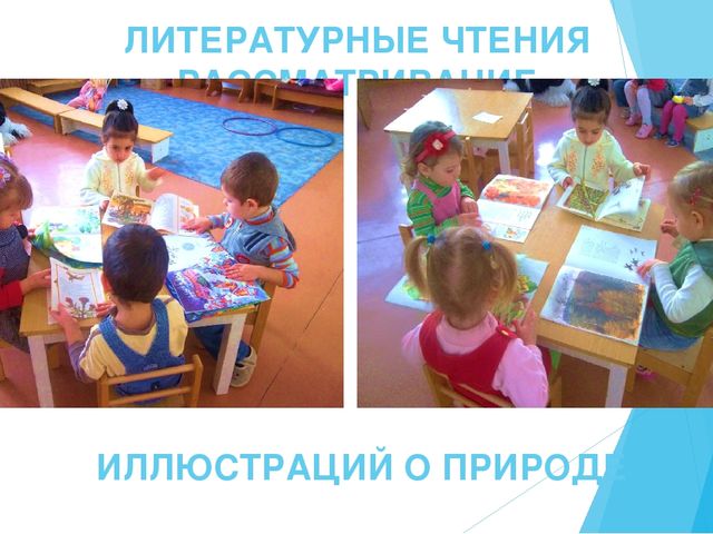 Презентация "Экологическое воспитание. Природа родного края" тема самообразования