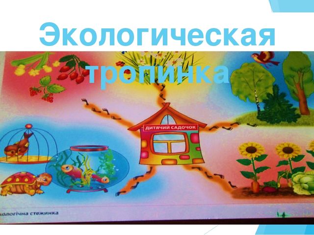 Презентация "Экологическое воспитание. Природа родного края" тема самообразования