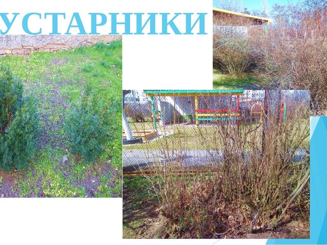 Презентация "Экологическое воспитание. Природа родного края" тема самообразования