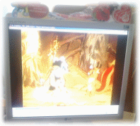 Picture 30