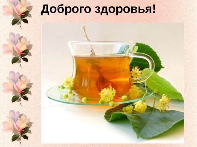 Проект на тему "Лекарственные растения"