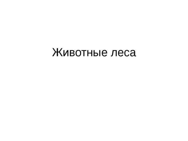 Презентация к занятию "Лесные животные"