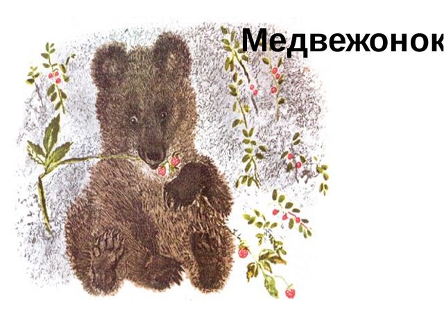 Презентация к занятию "Лесные животные"