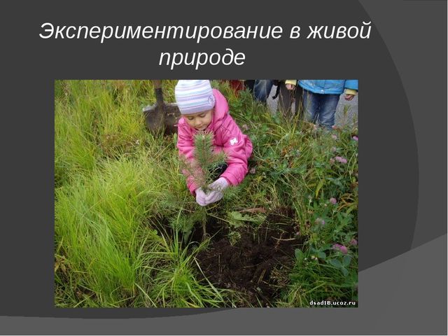 Презентация: Детское экспериментирование с природными материалами