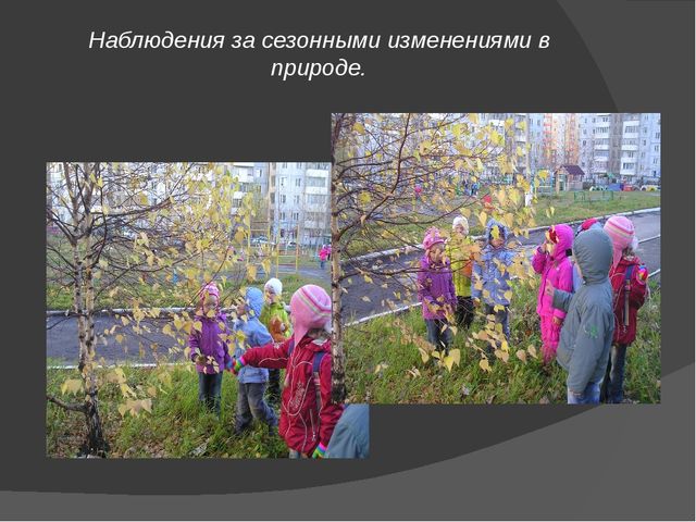 Презентация: Детское экспериментирование с природными материалами