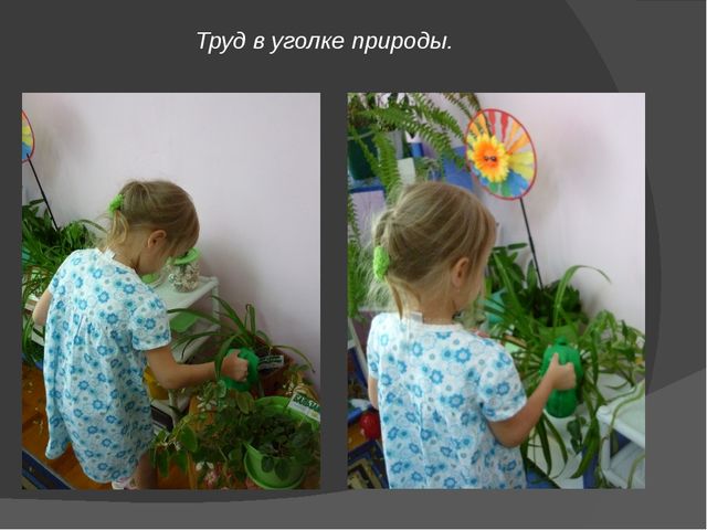 Презентация: Детское экспериментирование с природными материалами