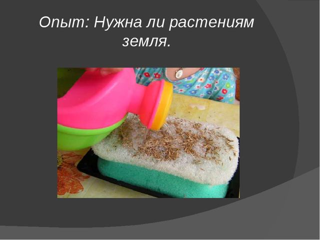 Презентация: Детское экспериментирование с природными материалами