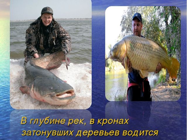 Презентация на тему "Красный Яр"