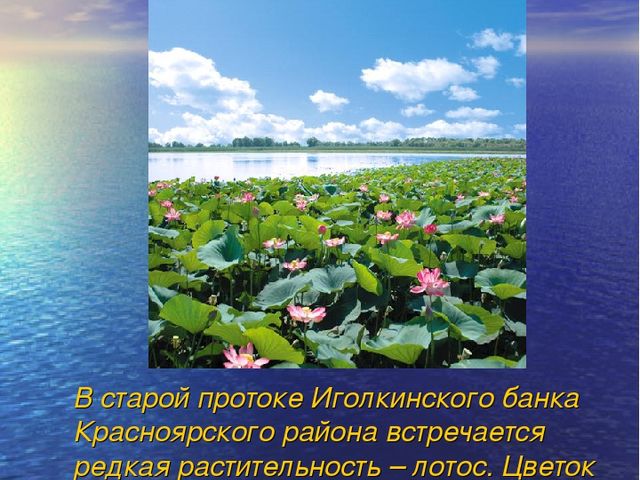 Презентация на тему "Красный Яр"