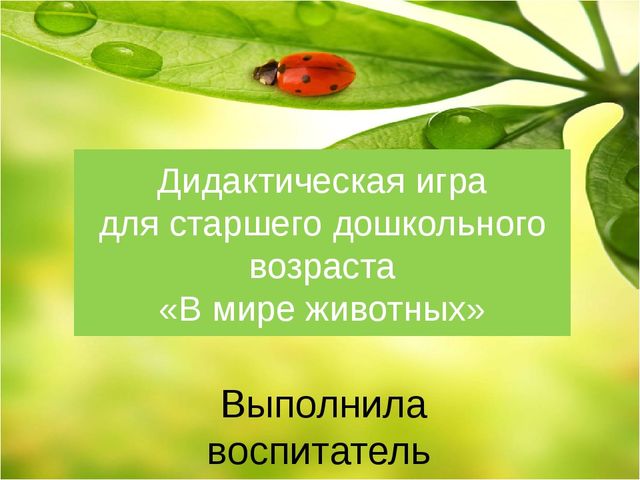 Дидактическая игра для детей старшего дошкольного возраста "Четвертый - лишний. Мир животных"
